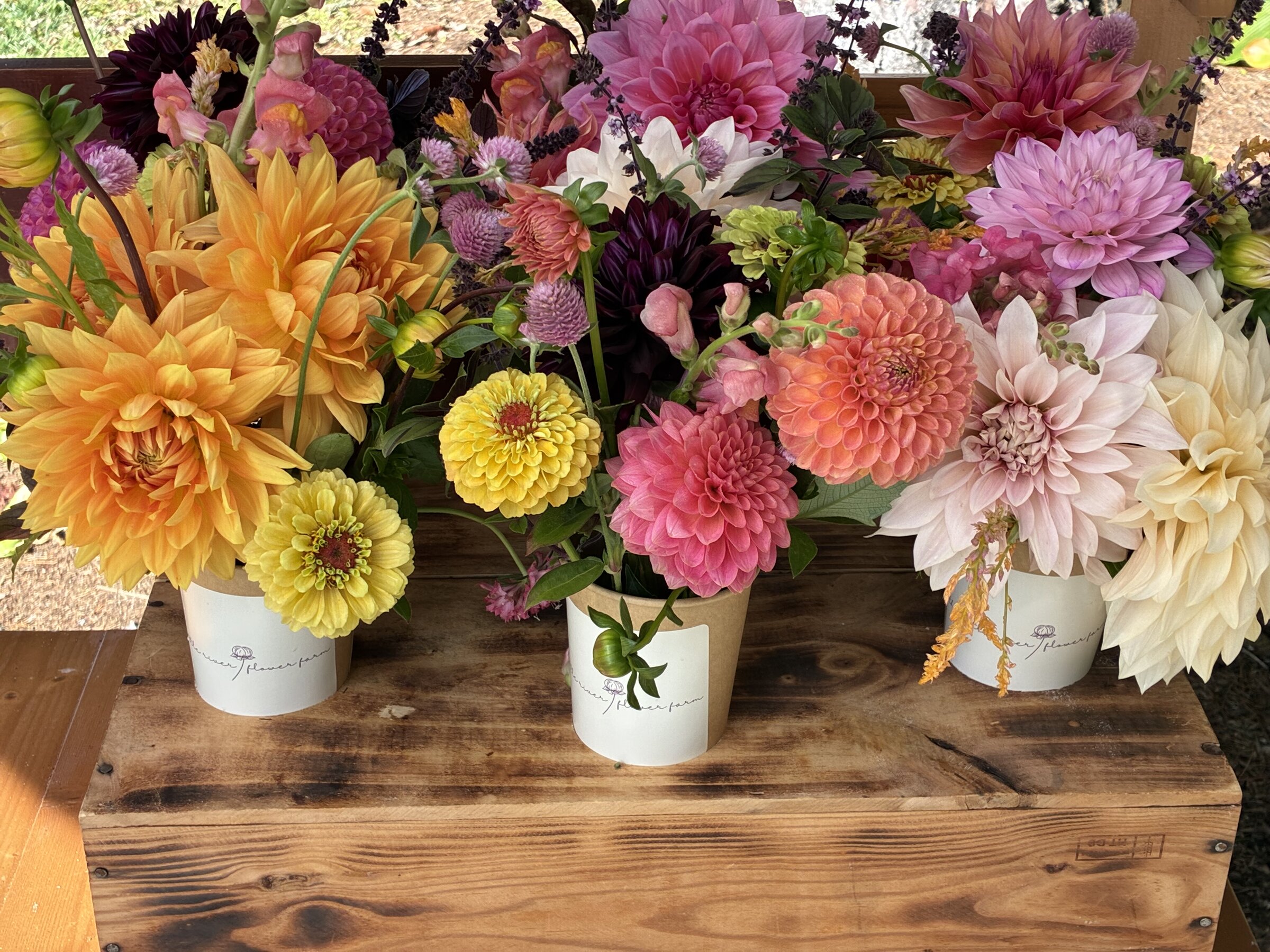 Seasonal flower arrangements displayed in pots at the stand.