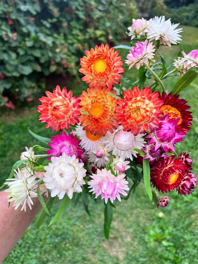 Fresh-cut seasonal flowers from the farm.